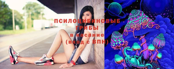 СК Нефтегорск